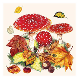 Szalvéta Fly Agaric papírszalvéta