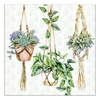 Szalvéta Hanging Plants papírszalvéta 33x33 cm 20 db-os
