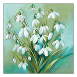 Szalvéta Hóvirág papírszalvéta 33x33cm