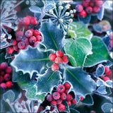 Szalvéta Karácsonyi papírszalvéta 33x33 cm Frozen Holly