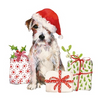 Szalvéta Karácsonyi papírszalvéta Christmas Pup