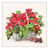 Szalvéta Karácsonyi papírszalvéta Poinsettia In Basket