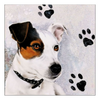 Szalvéta Kutyás papírszalvéta 33x33cm - Jack Russel