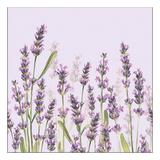 Szalvéta Lavender Shade lila papírszalvéta 33x33 cm 20 db-os