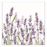 Szalvéta Lavender Shade White levendula virágos papírszalvéta 33x33 cm 20 db-os
