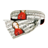 Szemüvegtok Mozart Szemüvegtok törlőkendővel