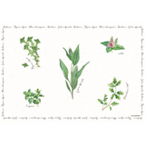 Tányéralátét, poháralátét Műanyag tányéralátét 45x30cm fűszernövényes Herbarium