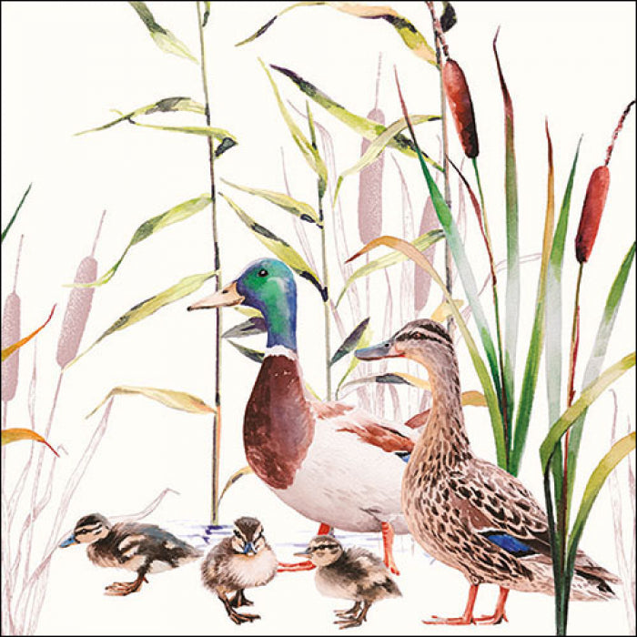 Szalvéta Papírszalvéta 33x33 cm 20 db-os Kacsák