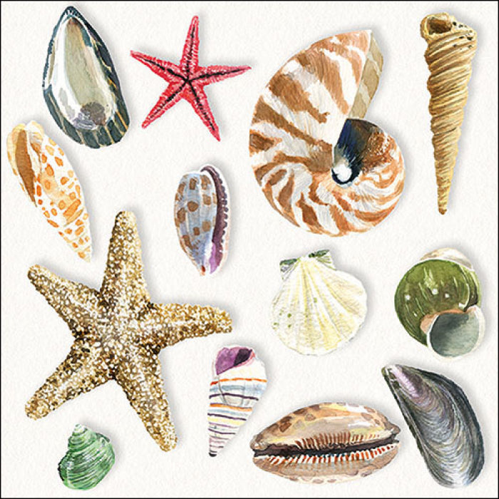 Szalvéta Papírszalvéta 33x33 cm 20 db-os Shells