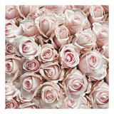 Szalvéta Pastel Roses papírszalvéta