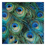 Szalvéta Pávatollak papírszalvéta 33x33cm - Peacock Feathers