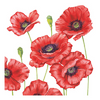 Szalvéta Romantic Poppy papírszalvéta