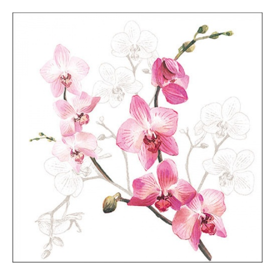 Szalvéta Rózsaszín orchidea papírszalvéta 33x33cm