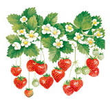 Szalvéta Summer Fruits papírszalvéta