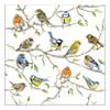 Szalvéta Tavaszi madaras papírszalvéta, 33x33cm - Birds Meeting