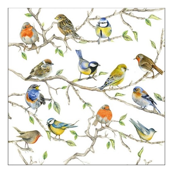 Szalvéta Tavaszi madaras papírszalvéta, 33x33cm - Birds Meeting