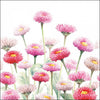 Szalvéta Virágos papírszalvéta 33x33cm Painted Bellis