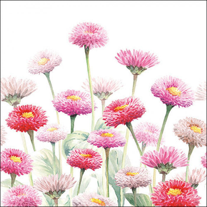 Szalvéta Virágos papírszalvéta 33x33cm Painted Bellis