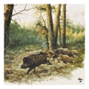 Szalvéta Wild Boars in the Woods papírszalvéta