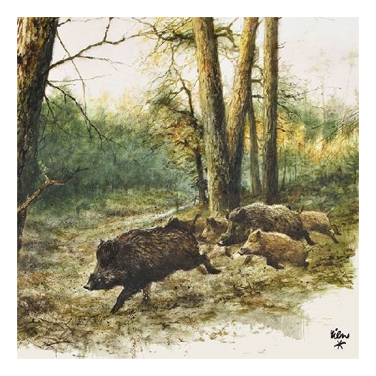 Szalvéta Wild Boars in the Woods papírszalvéta